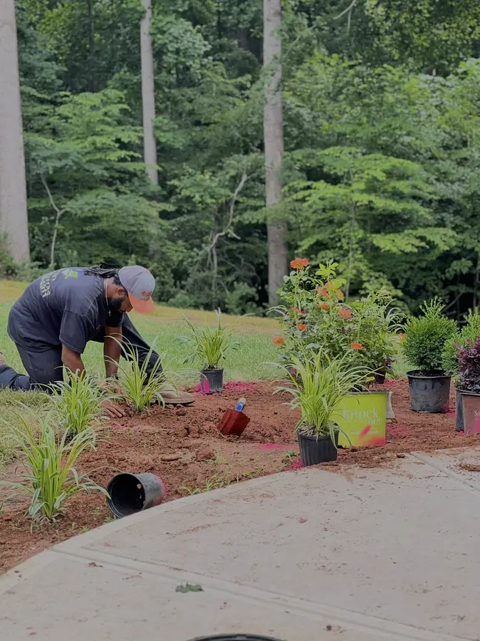 Crew planting a pollinator bed