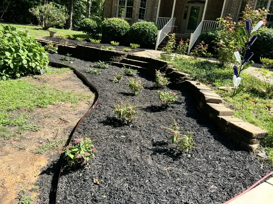 Curved garden wall edging dark mulch beds