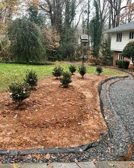 New island beds in a front lawn