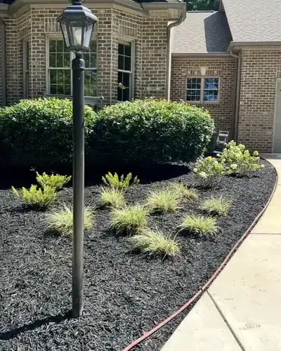 New plant beds by a driveway
