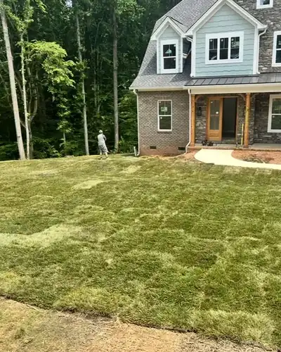 Fresh sod lawn at a new home